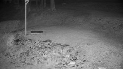 Běžecký lyžařský areál Nová Ves - horní část