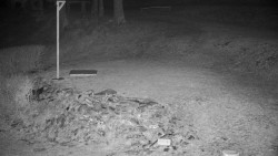 Běžecký lyžařský areál Nová Ves - horní část