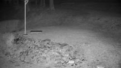 Běžecký lyžařský areál Nová Ves - horní část