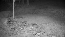 Běžecký lyžařský areál Nová Ves - horní část