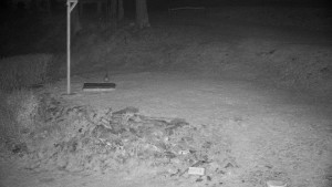 Chata Myslivna SKP Olomouc - Běžecký lyžařský areál Nová Ves - horní část - 19.4.2026 v 01:30 Chata Myslivna SKP Olomouc - Běžecký lyžařský areál Nová Ves - horní část - 19.4.2026 v 01:30