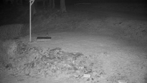 Chata Myslivna SKP Olomouc - Běžecký lyžařský areál Nová Ves - horní část - 19.4.2026 v 04:30 Chata Myslivna SKP Olomouc - Běžecký lyžařský areál Nová Ves - horní část - 19.4.2026 v 04:30