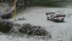 Běžecký lyžařský areál Nová Ves - horní část