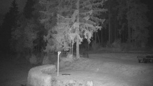 Myslivna Cottage SKP Olomouc - Cross-country skiing area Nová Ves – upper part - 1.8.2026 v 00:30 Myslivna Cottage SKP Olomouc - Cross-country skiing area Nová Ves – upper part - 1.8.2026 v 00:30