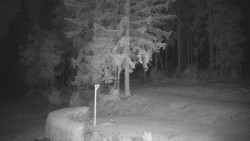Běžecký lyžařský areál Nová Ves - horní část
