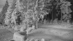 Cross-country skiing area Nová Ves – upper part
