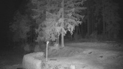 Cross-country skiing area Nová Ves – upper part