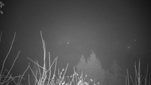 Chata Myslivna SKP Olomouc - Posezení - 14.11.2024 v 18:00 Chata Myslivna SKP Olomouc - Posezení - 14.11.2024 v 18:00