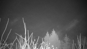 Chata Myslivna SKP Olomouc - Posezení - 14.11.2024 v 19:00 Chata Myslivna SKP Olomouc - Posezení - 14.11.2024 v 19:00