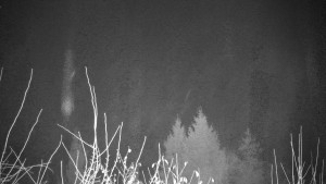 Chata Myslivna SKP Olomouc - Posezení - 14.11.2024 v 20:00 Chata Myslivna SKP Olomouc - Posezení - 14.11.2024 v 20:00