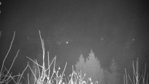 Chata Myslivna SKP Olomouc - Posezení - 14.11.2024 v 21:00 Chata Myslivna SKP Olomouc - Posezení - 14.11.2024 v 21:00