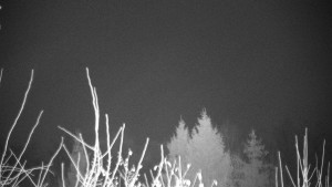 Chata Myslivna SKP Olomouc - Posezení - 14.11.2024 v 22:00 Chata Myslivna SKP Olomouc - Posezení - 14.11.2024 v 22:00