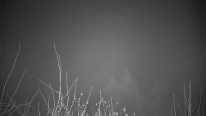 Chata Myslivna SKP Olomouc - Posezení - 14.11.2024 v 23:00 Chata Myslivna SKP Olomouc - Posezení - 14.11.2024 v 23:00