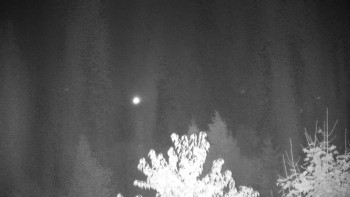 Snímek    26.10.2025 v 00:00