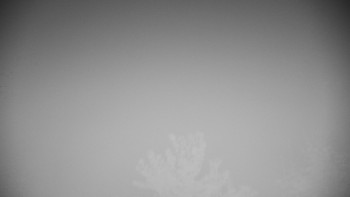 Snímek    26.10.2025 v 01:30