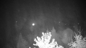 Snímek    26.10.2025 v 02:30