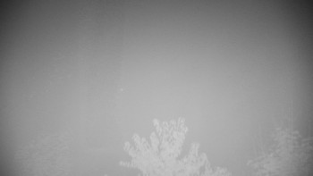 Snímek    26.10.2025 v 03:30