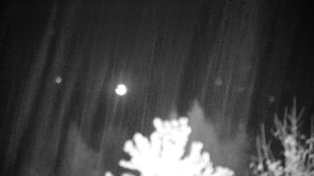 Snímek    27.10.2025 v 23:00