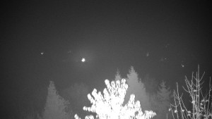 Chata Myslivna SKP Olomouc - Posezení - 2.11.2025 v 03:30 Chata Myslivna SKP Olomouc - Posezení - 2.11.2025 v 03:30