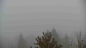 Chata Myslivna SKP Olomouc - Posezení - 2.11.2025 v 07:30 Chata Myslivna SKP Olomouc - Posezení - 2.11.2025 v 07:30