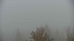 Chata Myslivna SKP Olomouc - Posezení - 2.11.2025 v 15:30 Chata Myslivna SKP Olomouc - Posezení - 2.11.2025 v 15:30