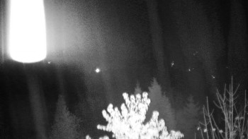 Snímek    3.11.2025 v 00:00