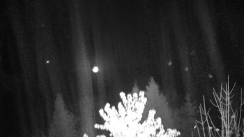 Snímek    3.11.2025 v 04:30