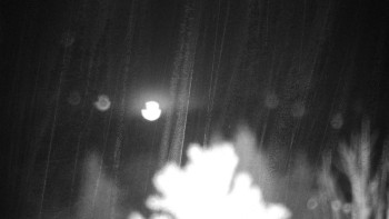 Snímek    3.11.2025 v 05:00