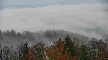 Snímek    3.11.2025 v 09:30