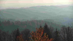 Chata Myslivna SKP Olomouc - Posezení - 6.11.2025 v 08:30 Chata Myslivna SKP Olomouc - Posezení - 6.11.2025 v 08:30