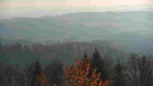 Chata Myslivna SKP Olomouc - Posezení - 6.11.2025 v 09:00 Chata Myslivna SKP Olomouc - Posezení - 6.11.2025 v 09:00