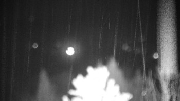 Snímek 8.11.2025 v 18:30