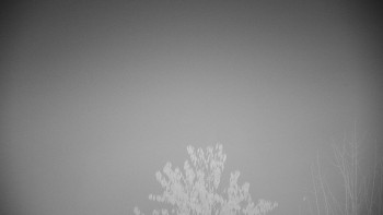 Snímek 9.11.2025 v 00:30