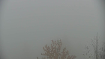 Snímek 9.11.2025 v 08:00