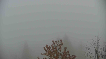 Snímek 9.11.2025 v 14:30