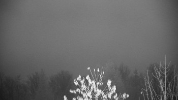 Snímek 14.11.2025 v 06:00