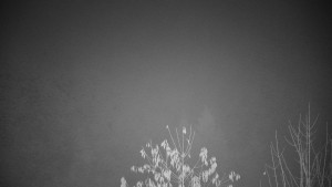 Chata Myslivna SKP Olomouc - Posezení - 15.11.2025 v 00:00 Chata Myslivna SKP Olomouc - Posezení - 15.11.2025 v 00:00