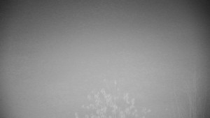 Chata Myslivna SKP Olomouc - Posezení - 15.11.2025 v 03:00 Chata Myslivna SKP Olomouc - Posezení - 15.11.2025 v 03:00