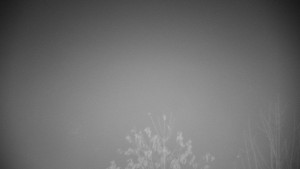 Chata Myslivna SKP Olomouc - Posezení - 15.11.2025 v 05:00 Chata Myslivna SKP Olomouc - Posezení - 15.11.2025 v 05:00