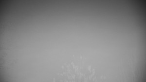 Chata Myslivna SKP Olomouc - Posezení - 15.11.2025 v 06:00 Chata Myslivna SKP Olomouc - Posezení - 15.11.2025 v 06:00