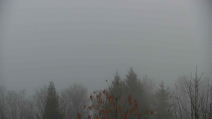 Chata Myslivna SKP Olomouc - Posezení - 15.11.2025 v 07:00 Chata Myslivna SKP Olomouc - Posezení - 15.11.2025 v 07:00