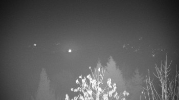 Snímek 15.11.2025 v 19:00