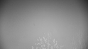 Chata Myslivna SKP Olomouc - Posezení - 15.11.2025 v 19:30 Chata Myslivna SKP Olomouc - Posezení - 15.11.2025 v 19:30