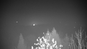 Snímek 15.11.2025 v 23:00