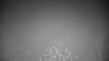 Snímek 17.11.2025 v 03:30