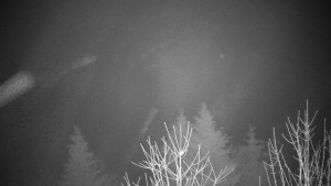 Chata Myslivna SKP Olomouc - Posezení - 16.12.2025 v 00:00 Chata Myslivna SKP Olomouc - Posezení - 16.12.2025 v 00:00