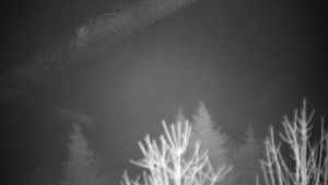 Chata Myslivna SKP Olomouc - Posezení - 16.12.2025 v 00:30 Chata Myslivna SKP Olomouc - Posezení - 16.12.2025 v 00:30