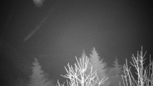 Chata Myslivna SKP Olomouc - Posezení - 16.12.2025 v 01:00 Chata Myslivna SKP Olomouc - Posezení - 16.12.2025 v 01:00