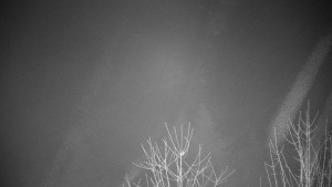 Chata Myslivna SKP Olomouc - Posezení - 16.12.2025 v 02:30 Chata Myslivna SKP Olomouc - Posezení - 16.12.2025 v 02:30