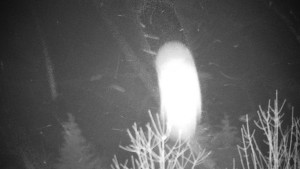 Chata Myslivna SKP Olomouc - Posezení - 16.12.2025 v 03:30 Chata Myslivna SKP Olomouc - Posezení - 16.12.2025 v 03:30